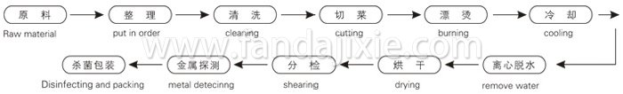 脱水蔬菜带式干燥工艺流程